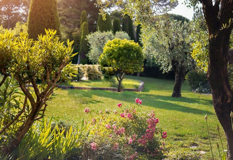 gazon-naturel-1